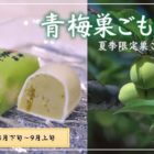 季節限定巣ごもり
青梅巣ごもり (4月下旬~9月上旬)