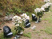 img_6041.jpg