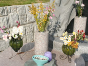 3-img_6454.jpg