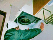 p4.jpg