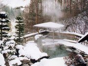 4img239.jpg
