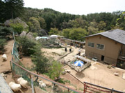 2817-5.jpg