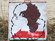 2837-6.jpg