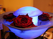 img_3296-1.jpg