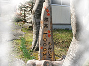 p-0-2686.jpg