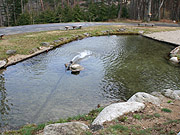p-6-2684.jpg