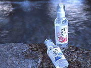 img366-biyo.jpg