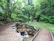 img_4991-1.jpg
