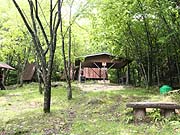 img_50021.jpg