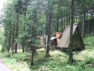 img_5011-1.jpg