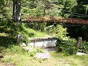img_5370-1.jpg