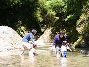 img_5391-1.jpg