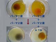 tamago-1.jpg