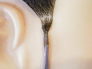 p7140007-7.jpg