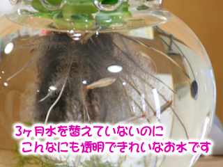 img_4025-320.jpg
