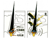 clear-5.jpg