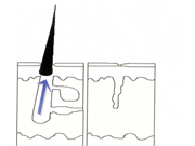 clear-6.jpg