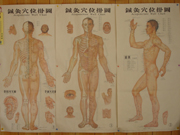 igari-08.jpg