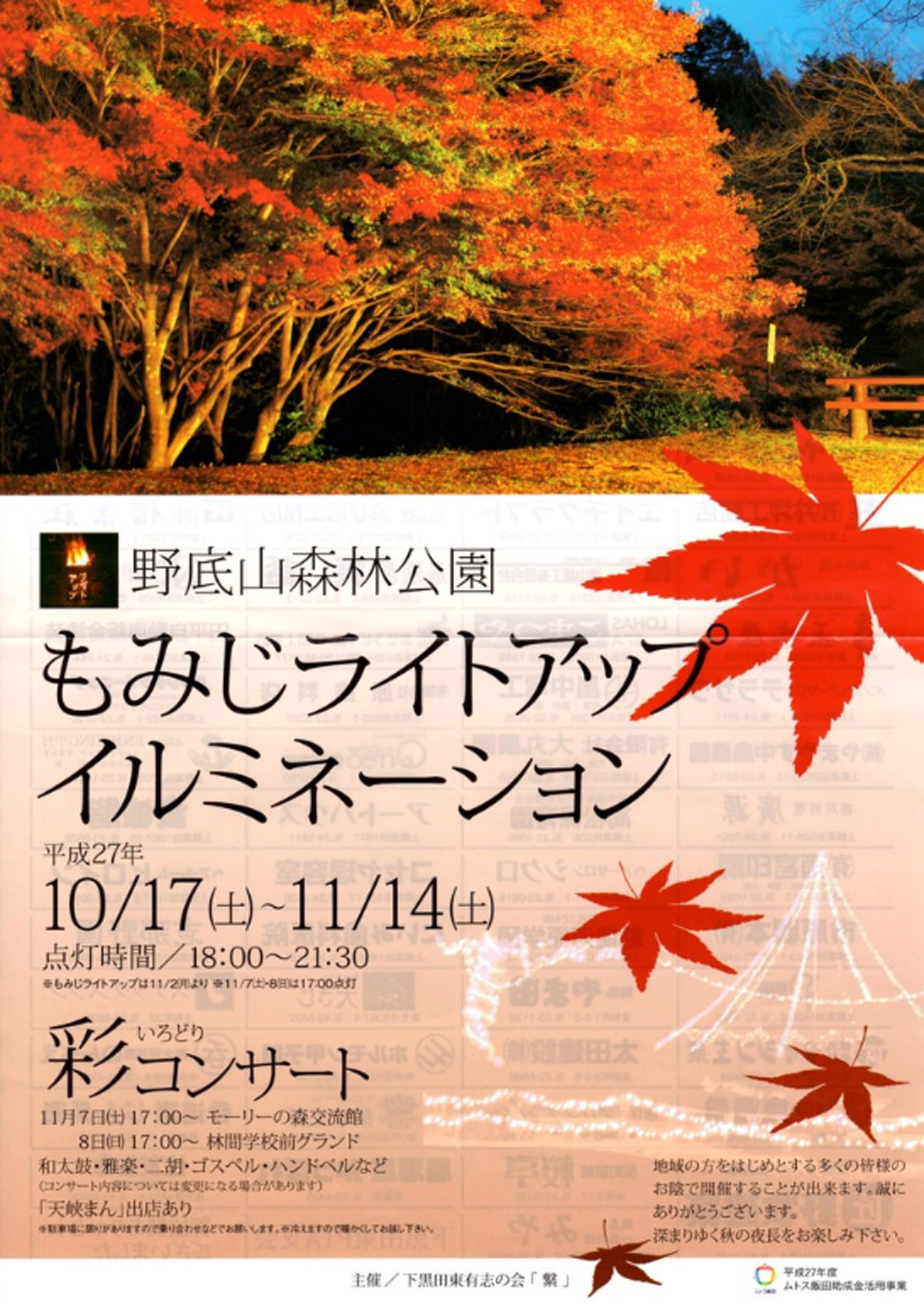 野底山森林公園 もみじライトアップイルミネーション 南信州 Com