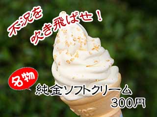 1img_7512.jpg
