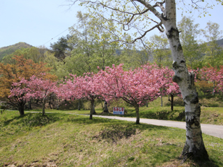 p-0-2686.jpg