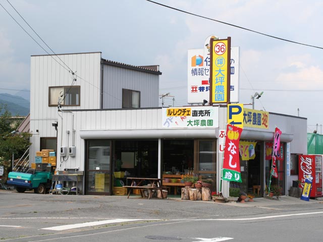 417.jpg