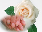 10-img_9853.jpg