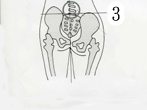 em-9.jpg