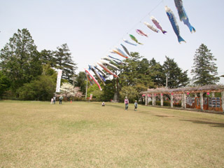 img_7074-3.jpg