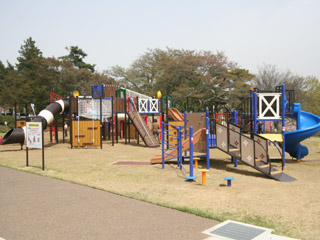 kanae-1.jpg