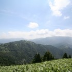 【左の小山】萬岳荘から登ってきて左の小山に登ると恵那山が目前に。休日にはグライダーが飛んでいることも。風が気持ちいい。カップルで来るなら、静かでお勧めです。2人でゆっくり愛を語ってね。
